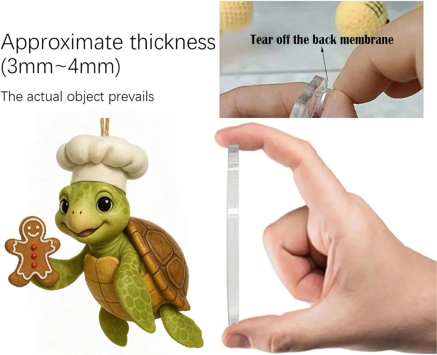 🎄Sea Turtle Advent Calendar