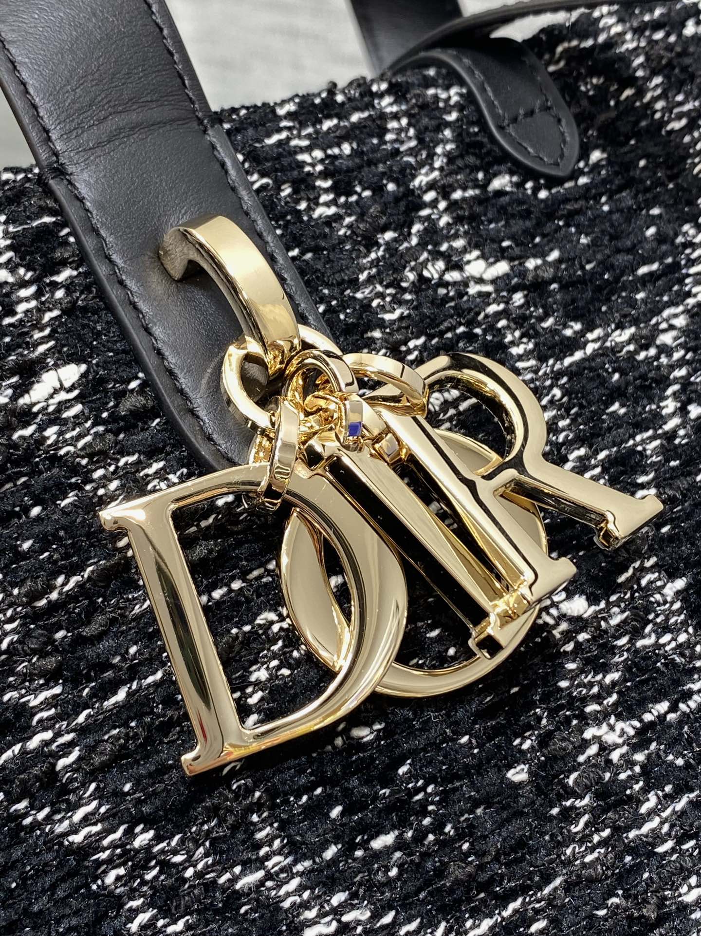 Dior Toujours vertical series small