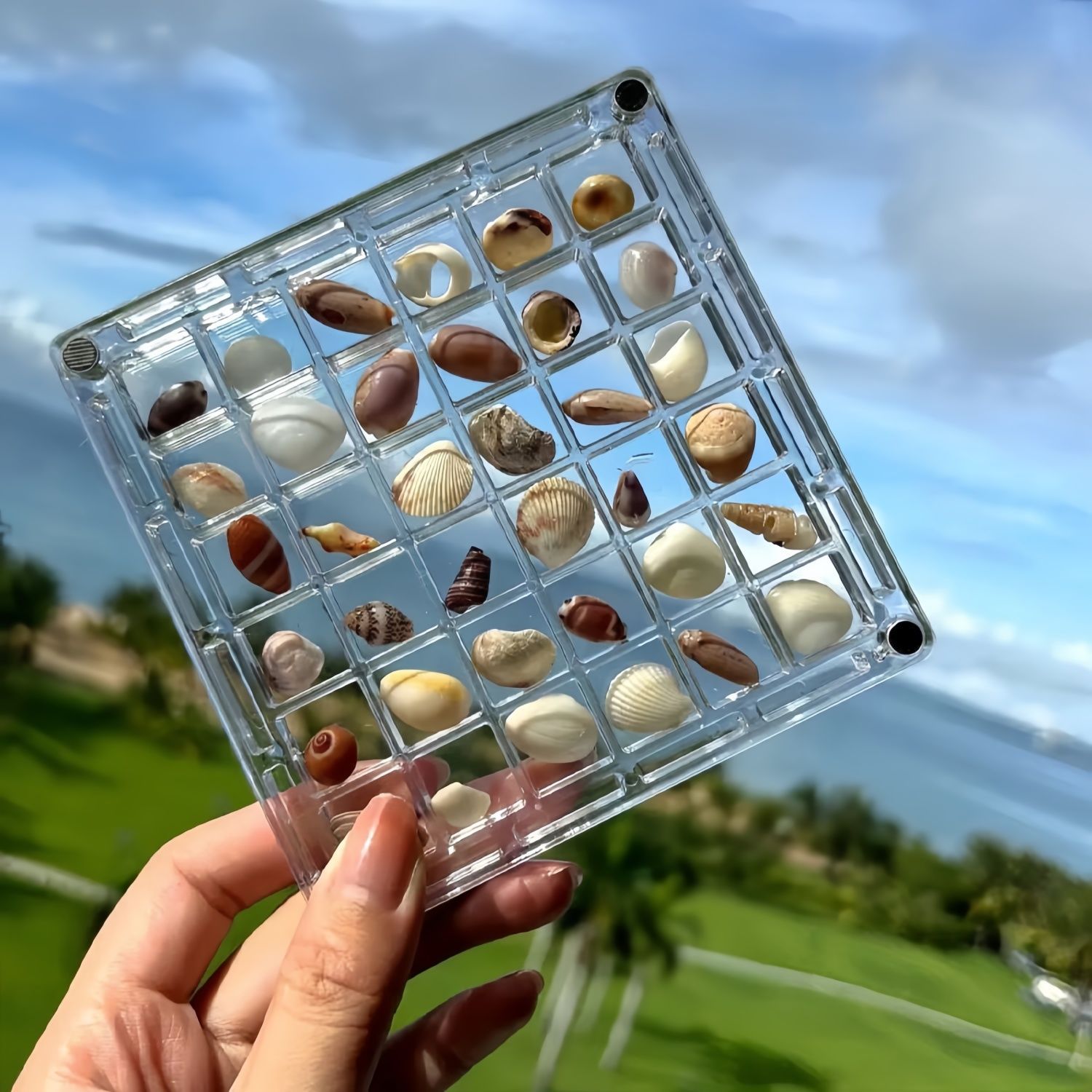 Acrylic Magnetic Shell Display Box