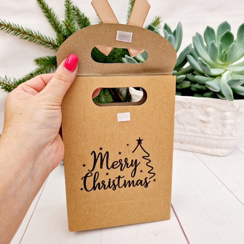Merry Christmas Party Bag