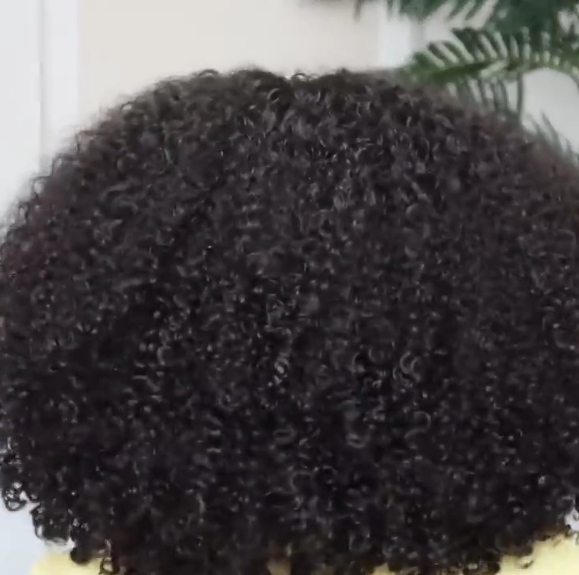 Natural Wig, Best Wig Ever Type Hair