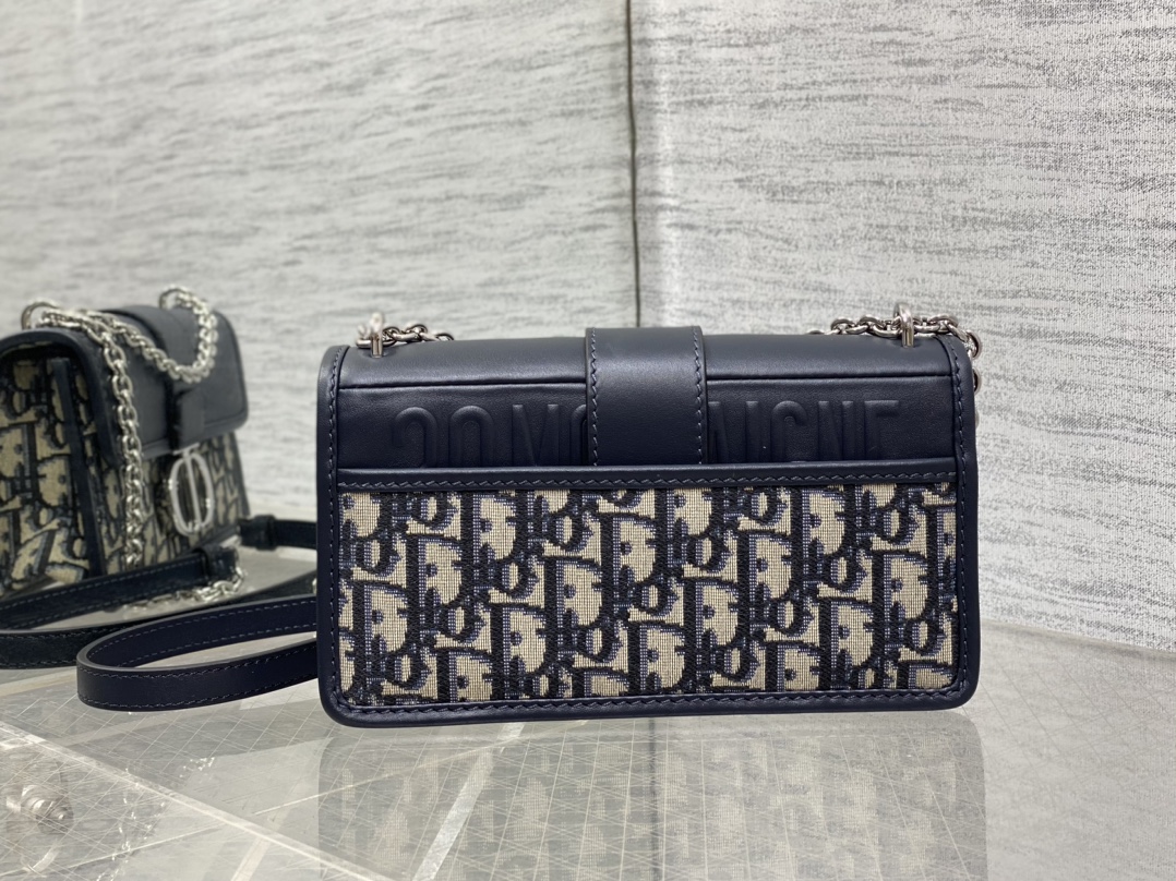 Dior Montaigne 30 East West Chain Bag