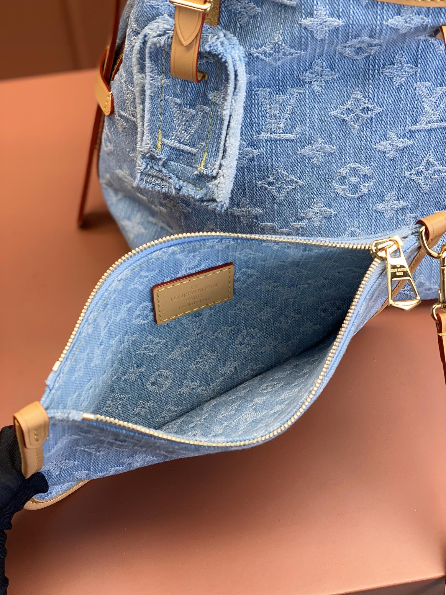 Louis Vuitton CARRYALL Small Handbag M11462