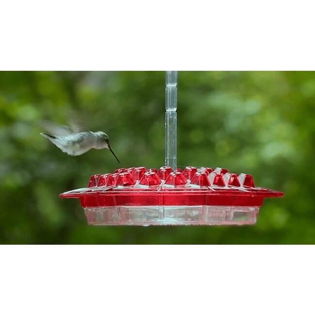 👍Last Day Promotion 50% OFF💥Mary's Hummingbird Feeder With Perch And Built-in Ant Moat-BUY 2 FREE SHIPPING