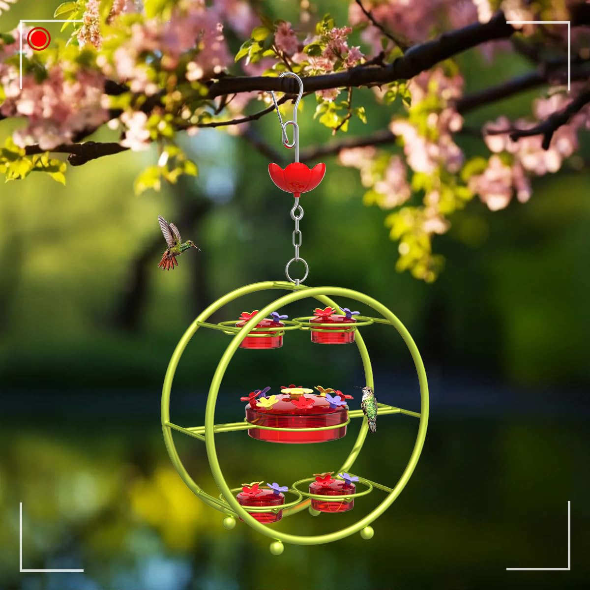❤️Mother's Day Sale 60% OFF❤️Ferris Wheel Hummingbird Feeders🐦