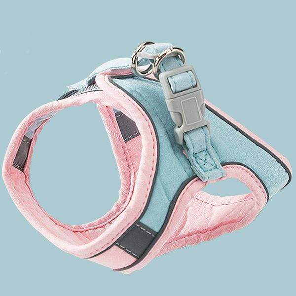 🔥Last Day Promotion-[SAVE 50% OFF]--Luminous Cat Vest Harness and Leash Set--BUY 2 GET 10% OFF & FREE SHIPPING