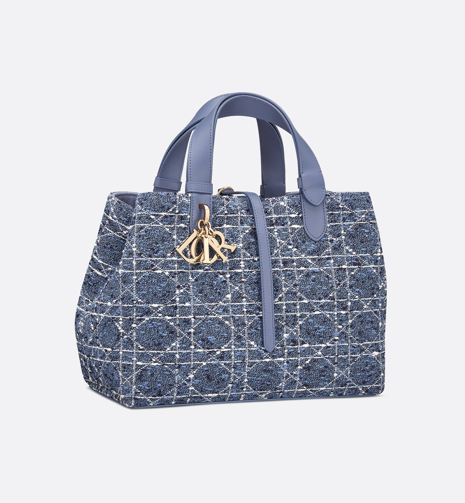 Dior Medium Dior Toujours Bag M2821OTKV_M52I