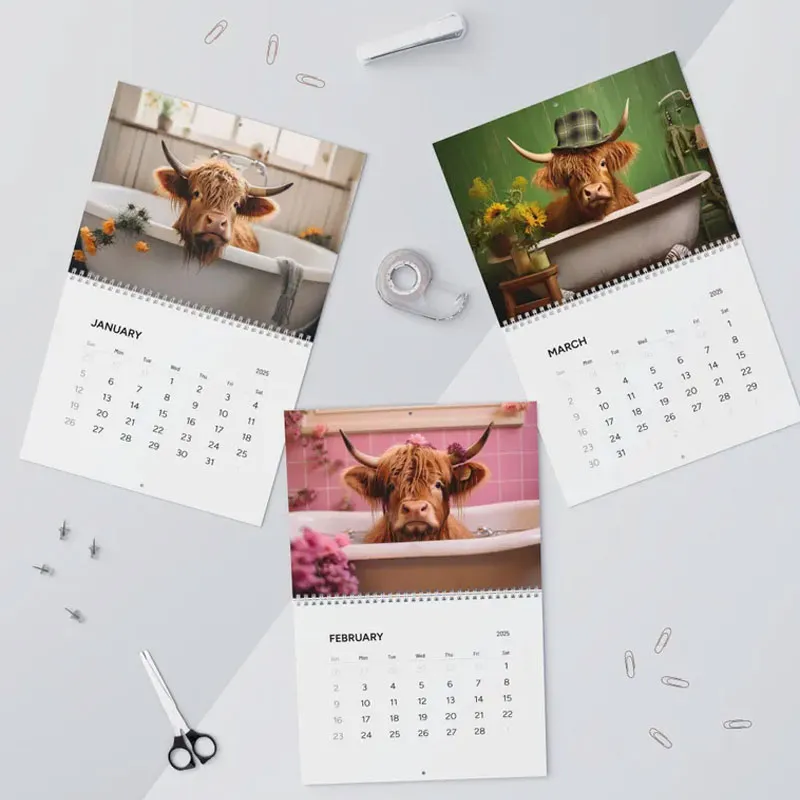 Highland Cow 2025 Wall Calendar