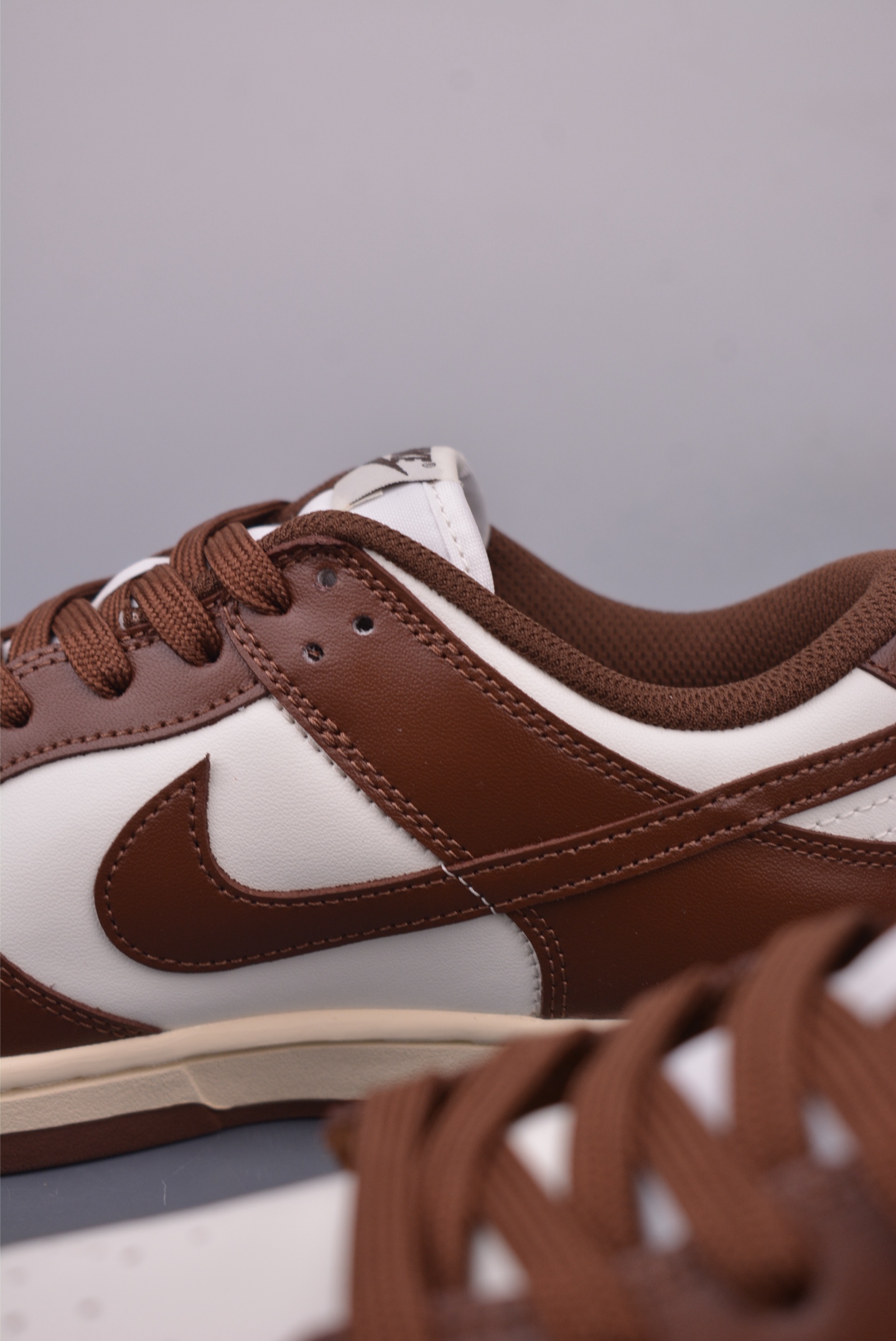 Nike Wmns SB Dunk Low Retro