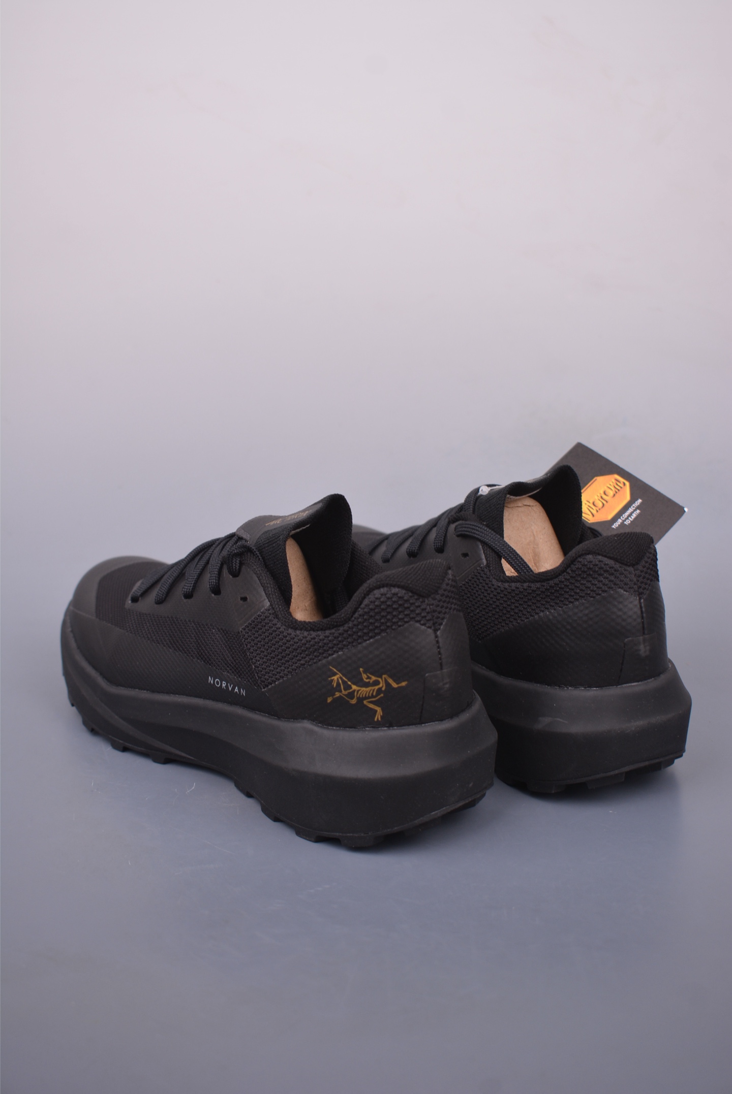 Arc'teryx Norvan LD 4 