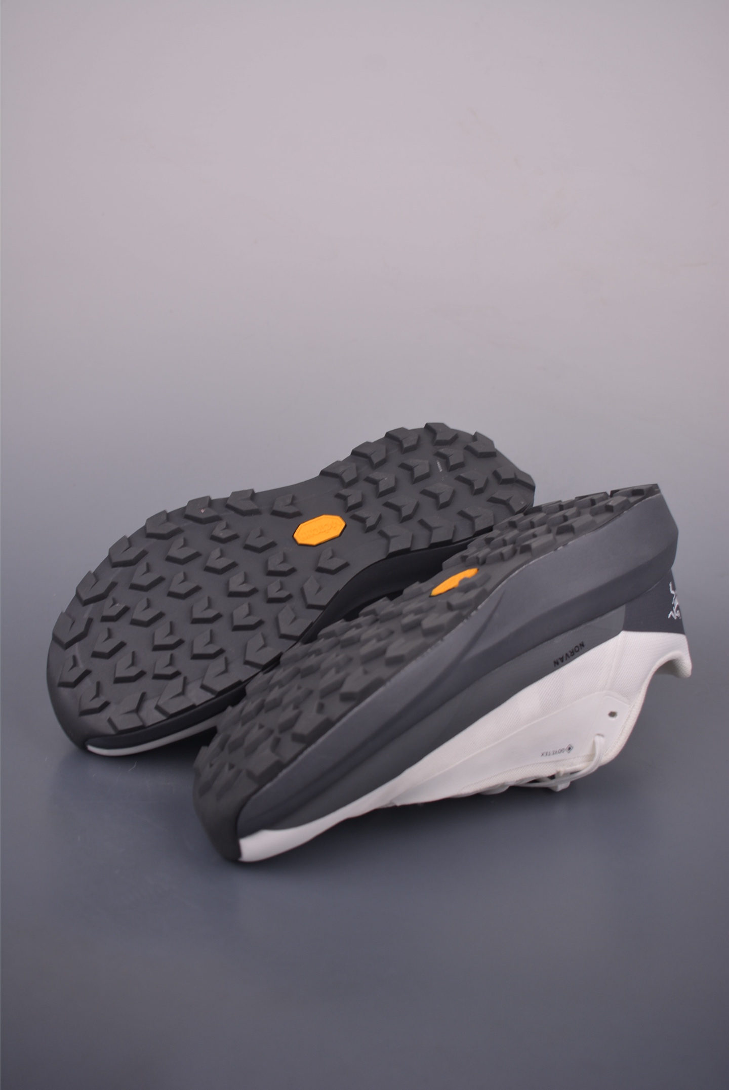 Arc'teryx NORVAN LD 4 running shoes 