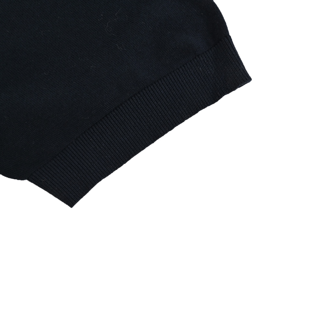 Dior 24ss embroidered small logo knitted Polo short sleeve