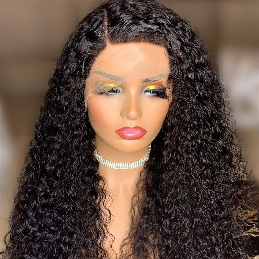 Luna wigs 1 x4 Lace Front 20-26 Inch Long Curly Wigs