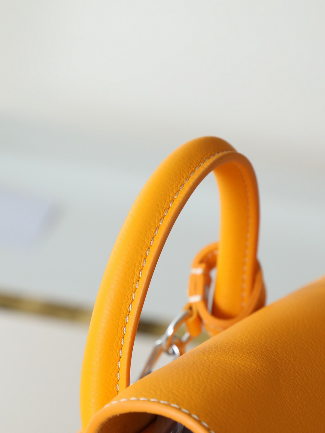 Goyard Aln Mini Backpack 020194