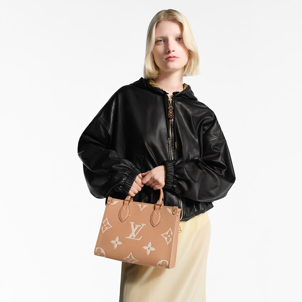 Louis Vuitton ONTHEGO Small Bag M45659