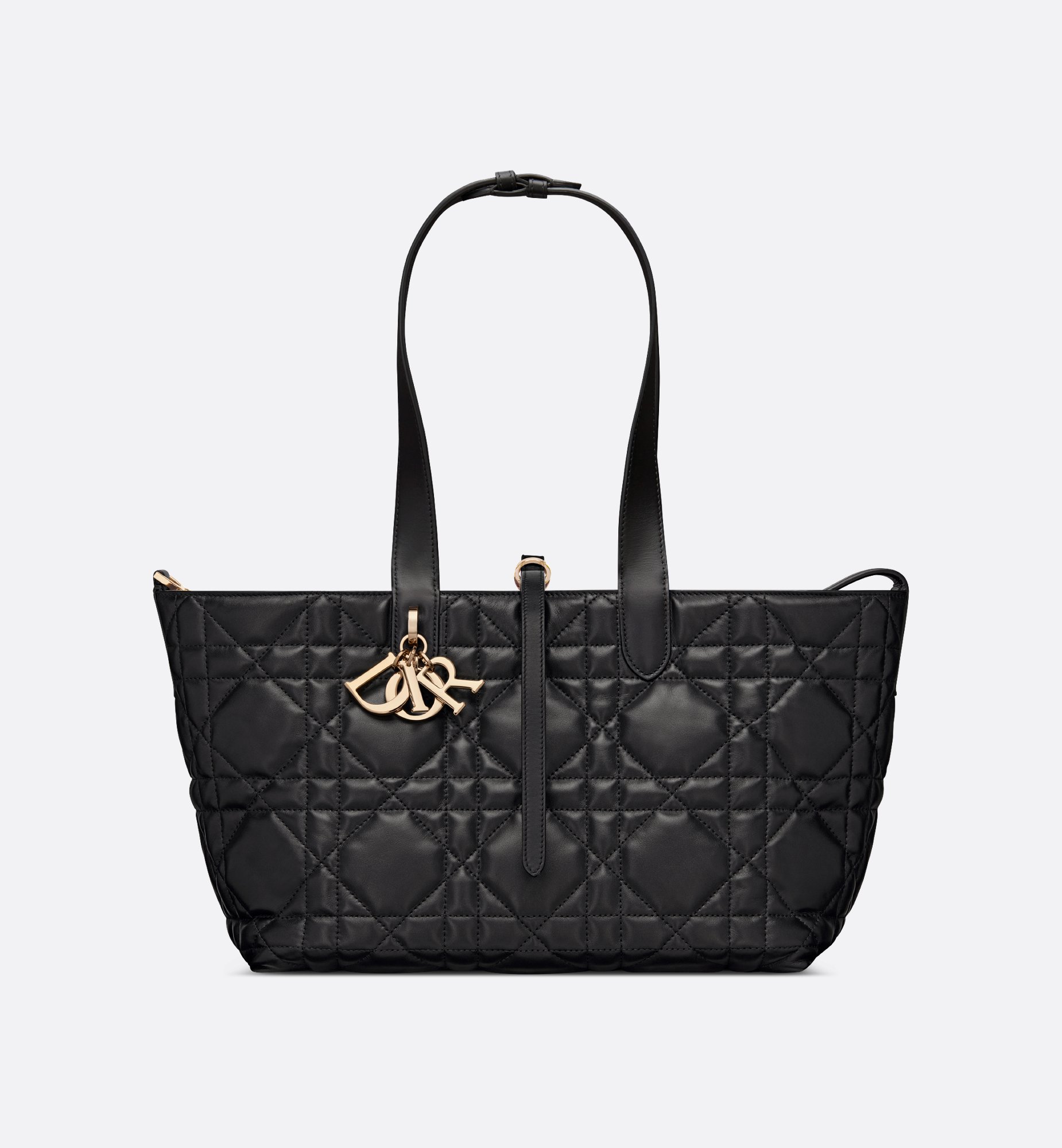 Dior Medium Dior Toujours Bag M2821OSNW_M900