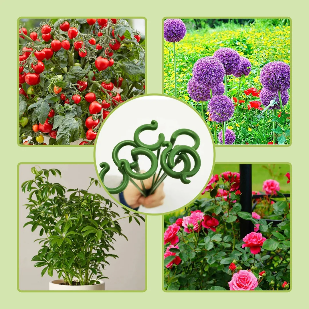 (🔥3rd Anniversary Sale) Plant Support Stake - Buy 3 Sets Get 2 Sets Free