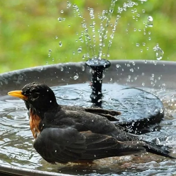 🎁☀️Solar Bird Bath Fountain Pump with 4 Nozzles