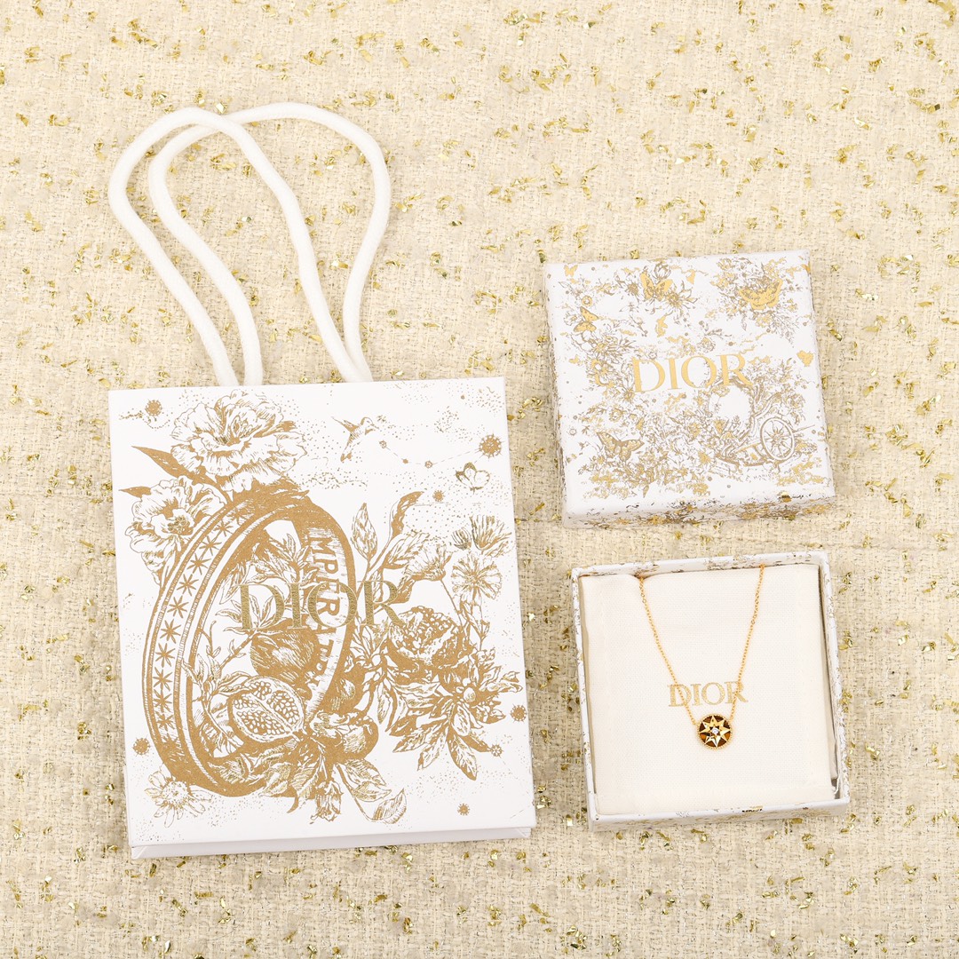 Dior compass necklace