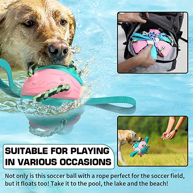 🔥Last Day Promotion-[SAVE 50% OFF]--Pet Toy Flying Saucer Chew Ball--BUY 2 GET 10% OFF & FREE SHIPPING
