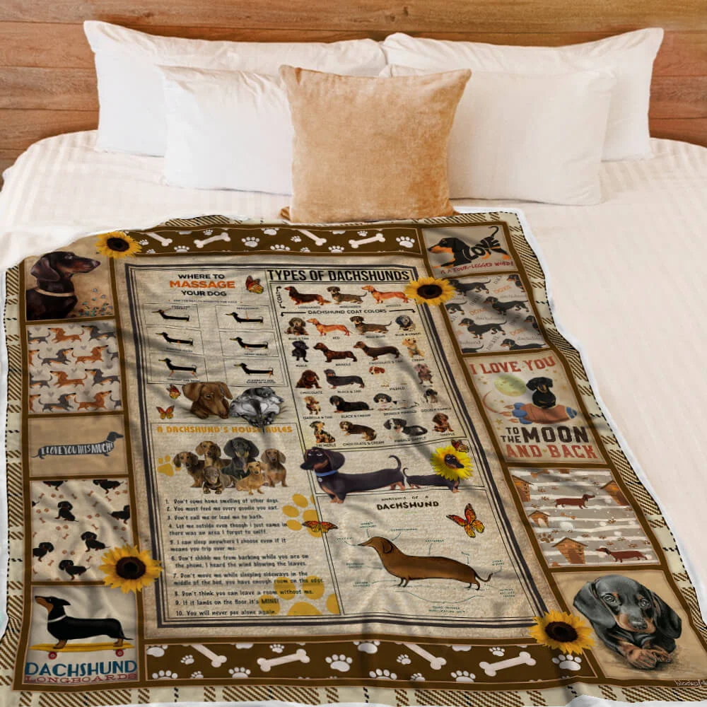 Dachshund Knowledge Sofa Throw Blanket