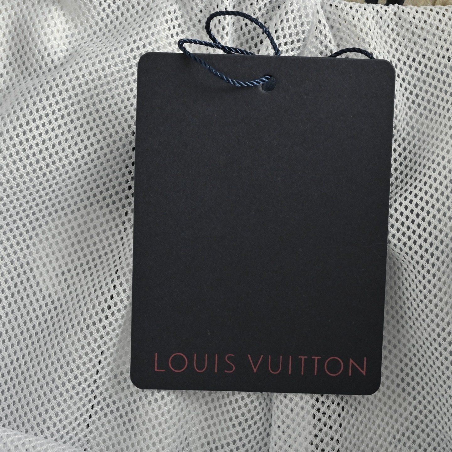 Louis Vuitton 25ss ink-rendered monogram beach shorts