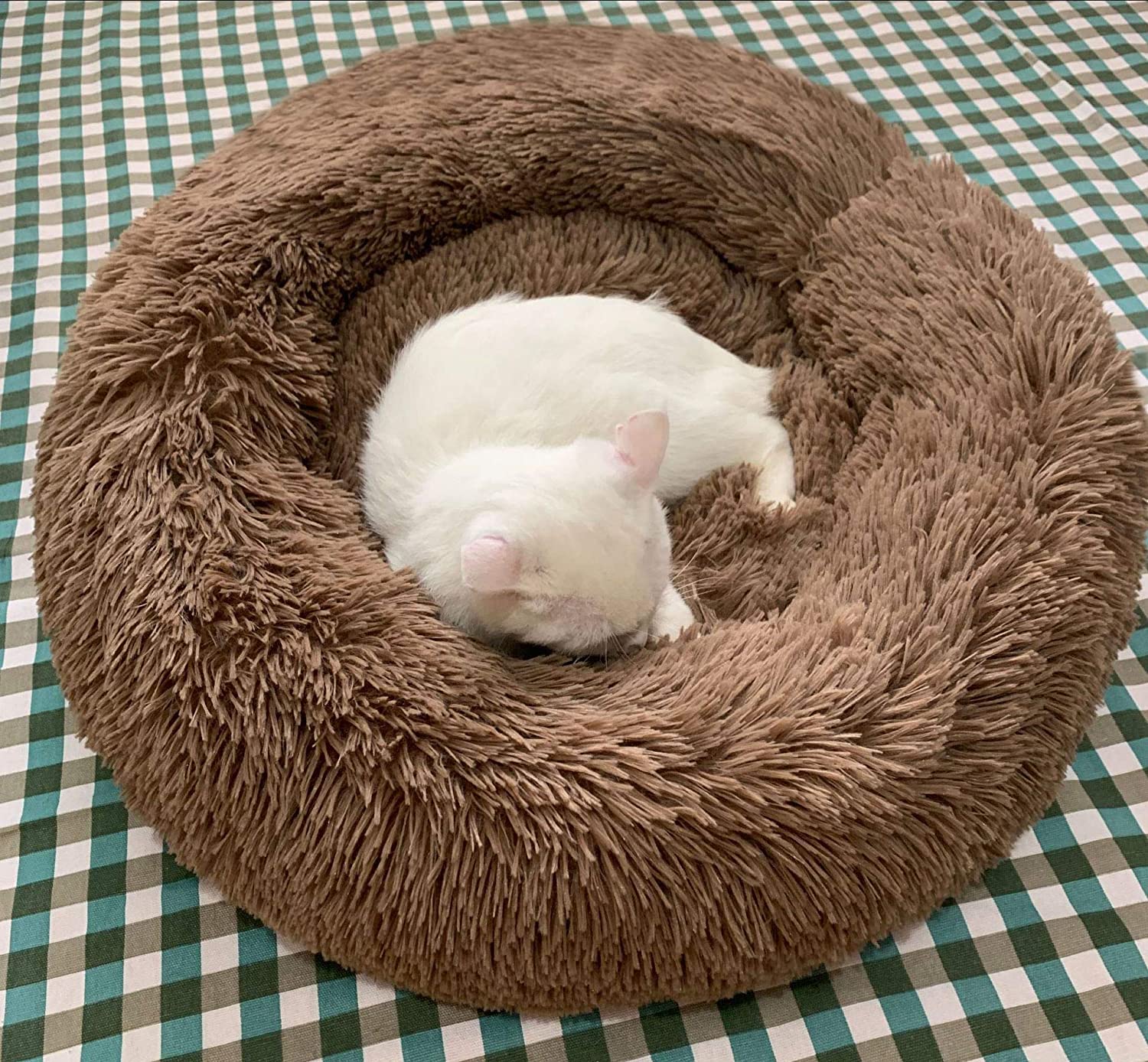 Comfy Calming Dog/Cat Bed-Buy 2 Get Free Shipping