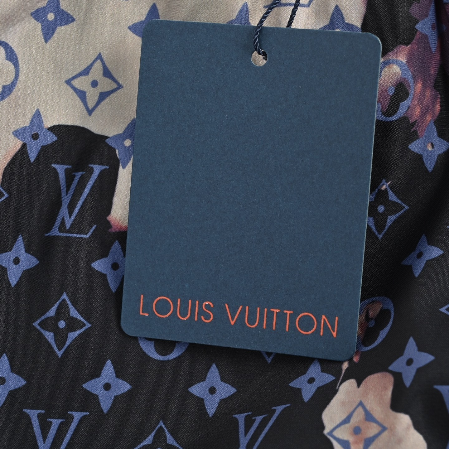 Louis Vuitton 25ss Fire Cloud Monochrome Print Beach Shorts