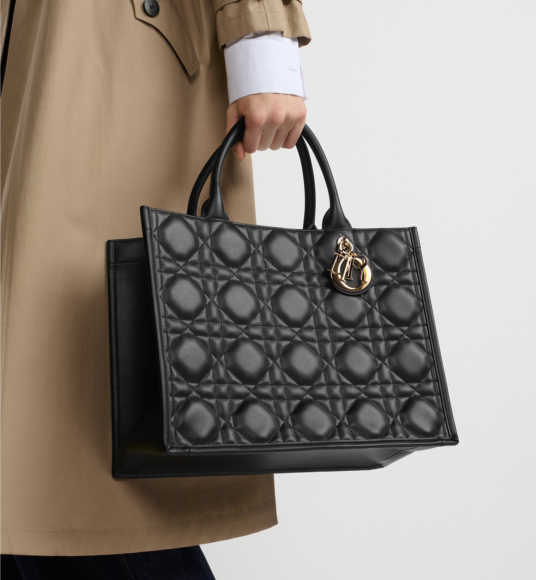 Dior Medium Book Tote Bag M1324OWHP_M900