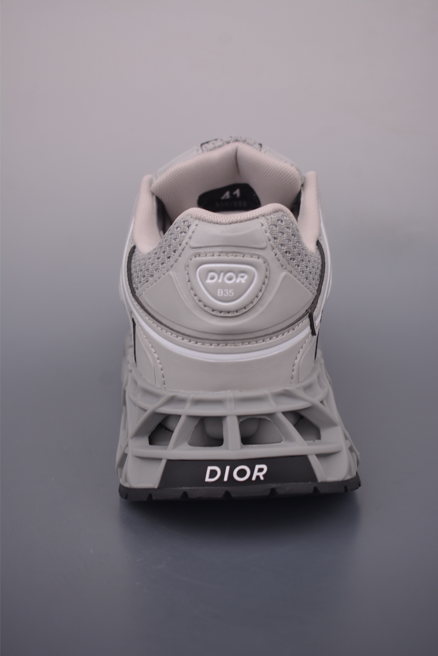 Dior x Kaws B35 NXT Daddy Shoes 3SN323ZCY3114