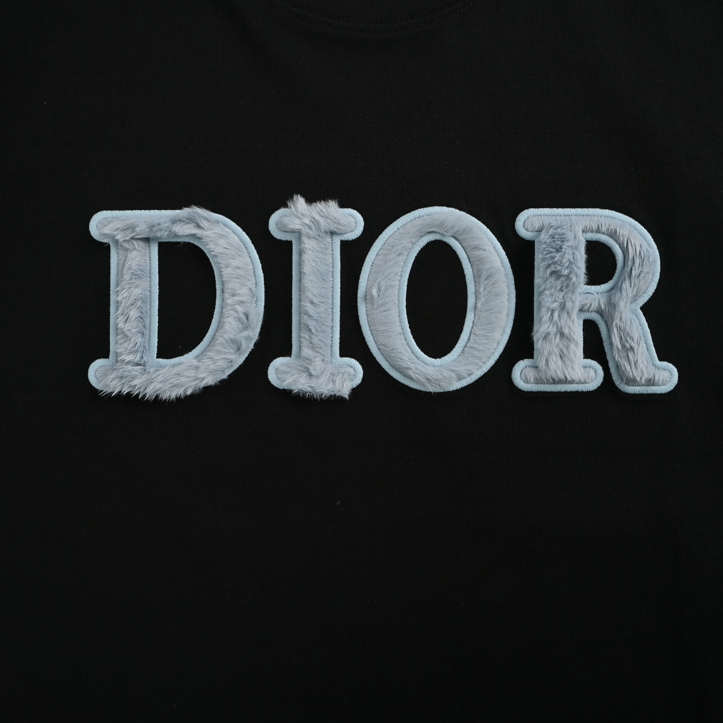 Dior 25ss blue flocked letter embroidered short sleeve