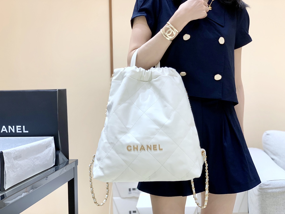 Chanel 2022cc Spring/Summer Collection Handbag AS3313