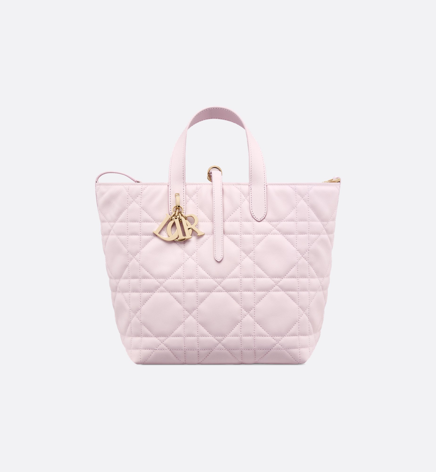 Dior Medium Dior Toujours Vertical Handbag M2836OSNW_M02N