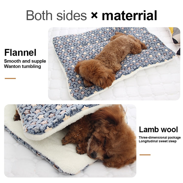 (💥49% OFF--Last Day Sale)--Cozy Calming Cat Blanket--BUY 2 GET 10% OFF