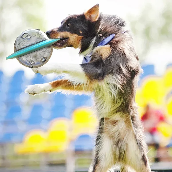 Flying Saucer Slow Feeder Toy-Save 50%