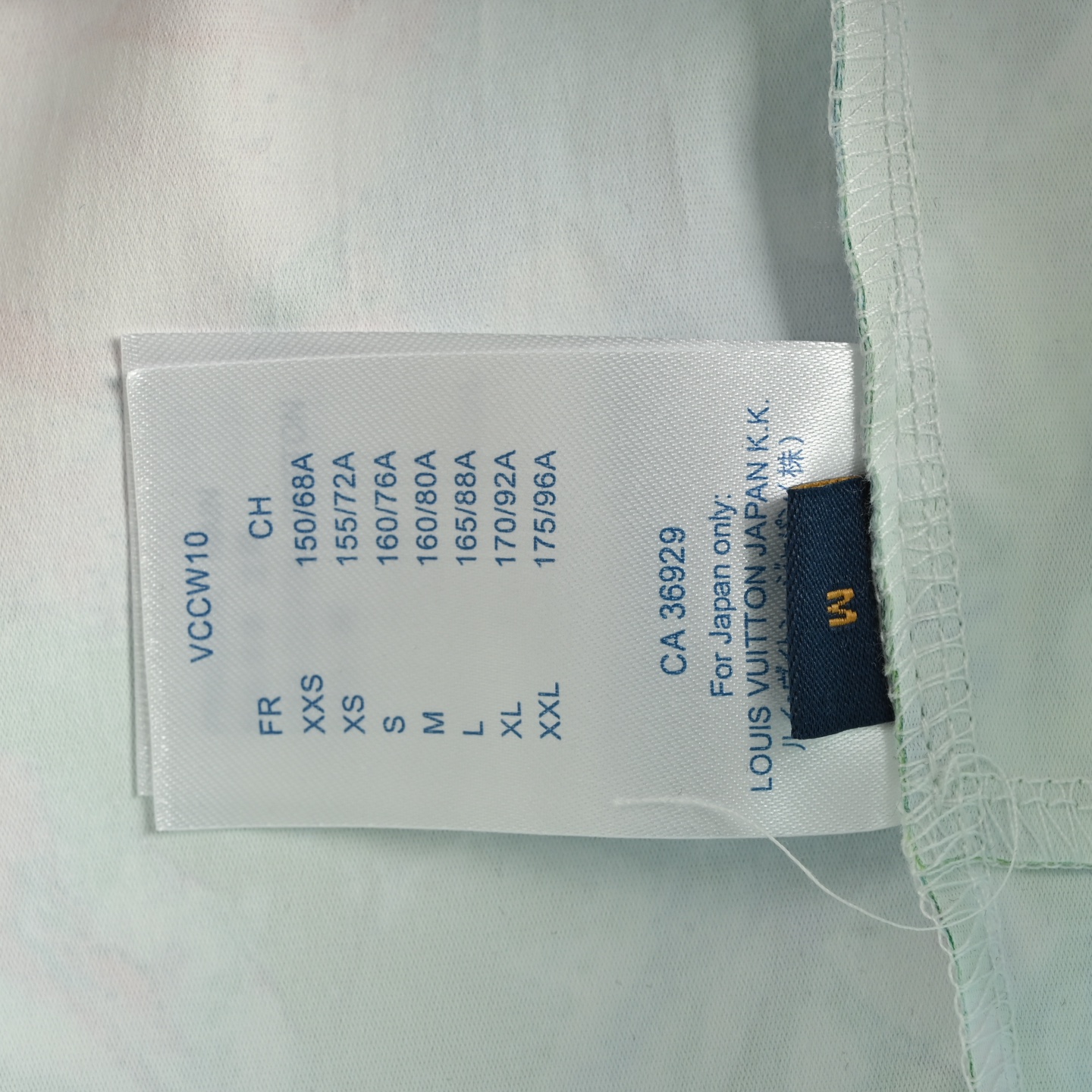 Louis Vuitton Crayon Nylon Beach Shorts