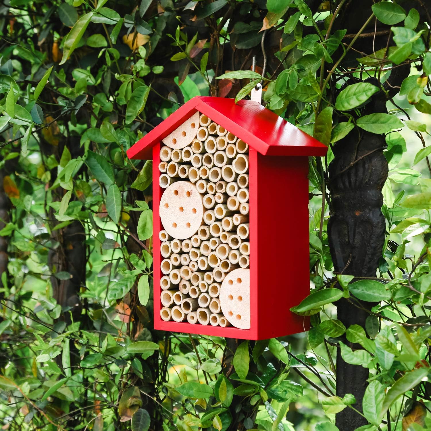 🔥ON SALE - 45% OFF🔥Natural Handmade Wooden Bee Hotel