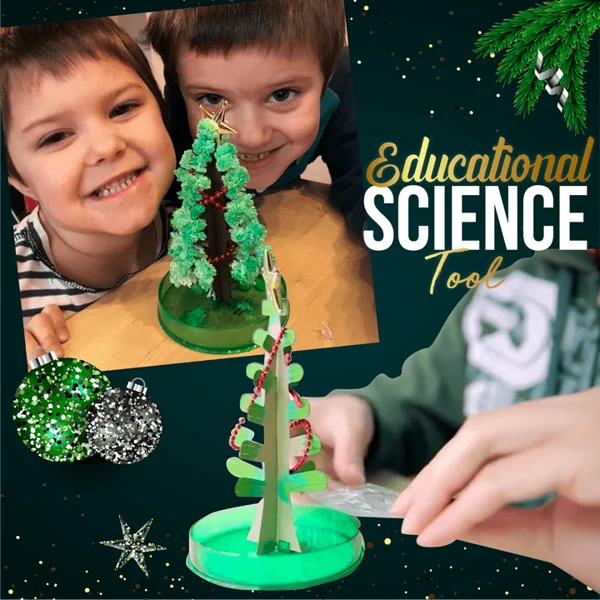 Magic Growing Christmas Tree