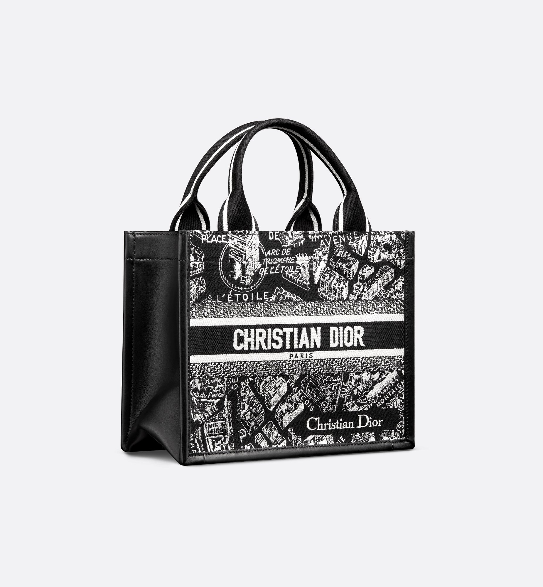 Dior Small Book Tote Bag M1325CETJ_M46I