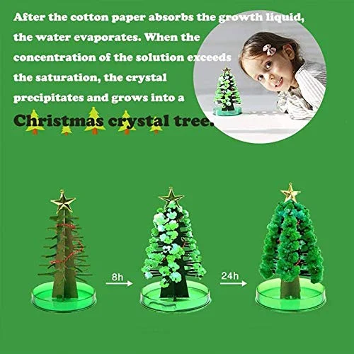 Magic Growing Christmas Tree