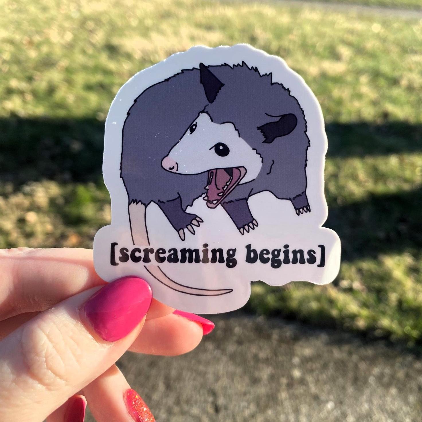 Funny Possum Sticker