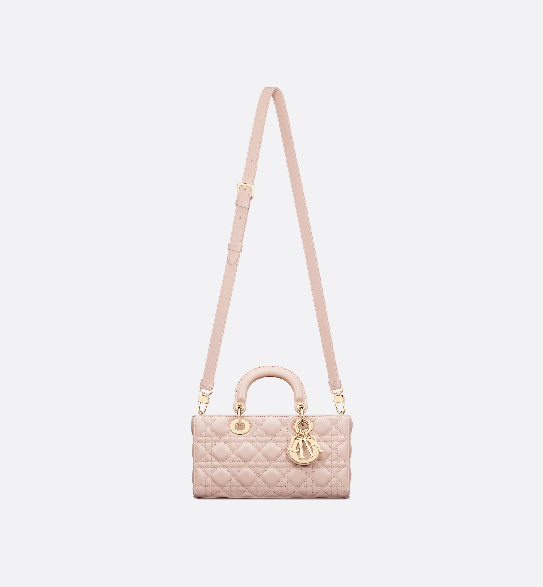 Dior Medium Lady D-Joy Bag M0540ONGE_M413