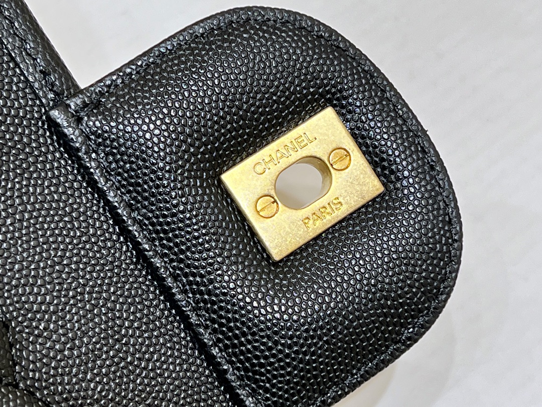 Chanel 22k Autumn and Winter Haute Couture Collection Chain Bag 3662