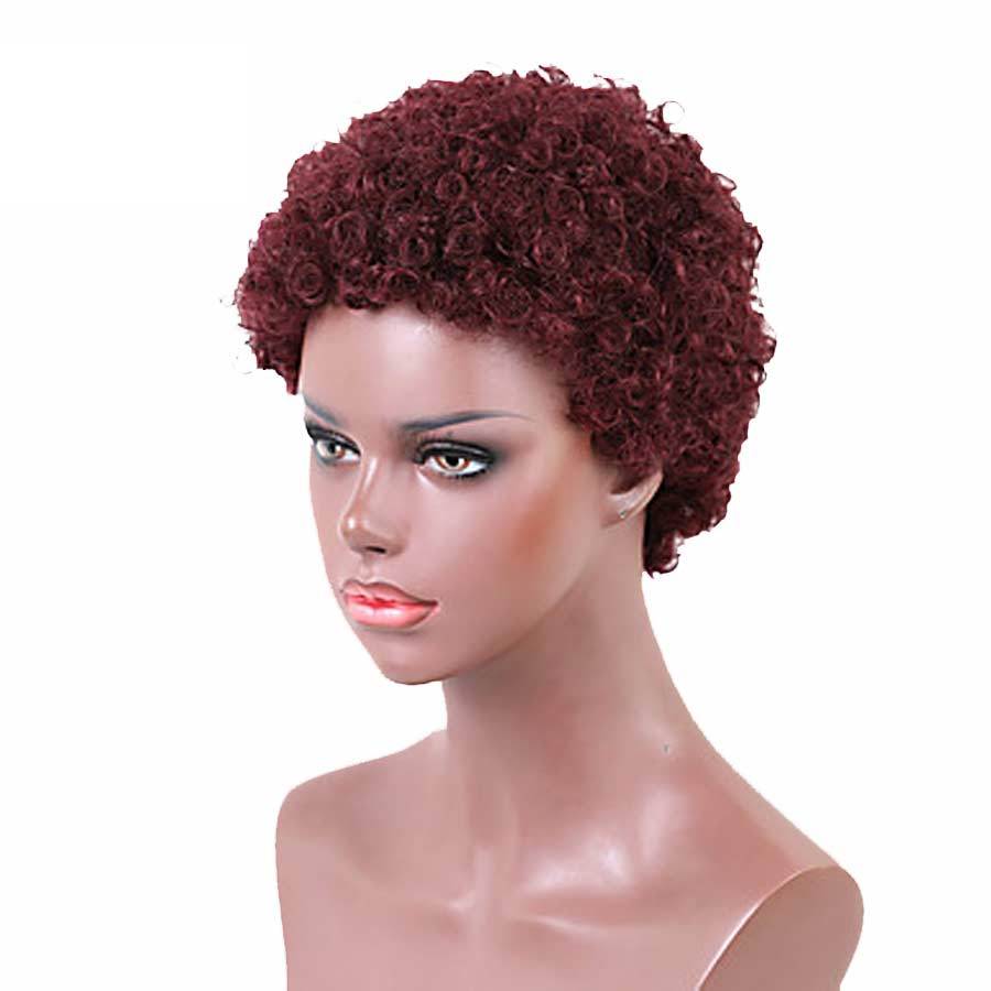 Luna Wig 018 Women Classic Short Curly Afro Hair for African American