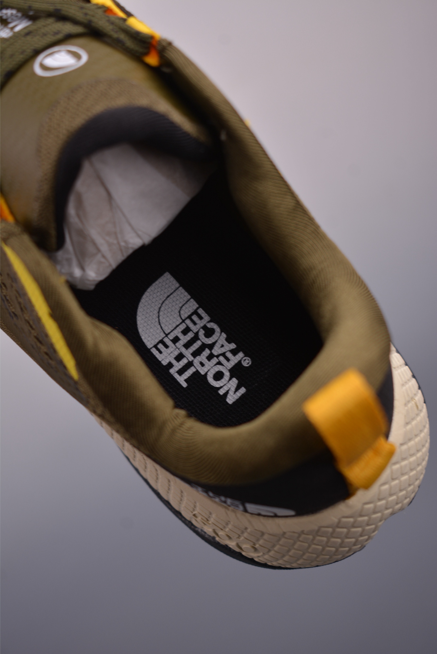 The North Face Altamesa 500 Hiking Shoes 