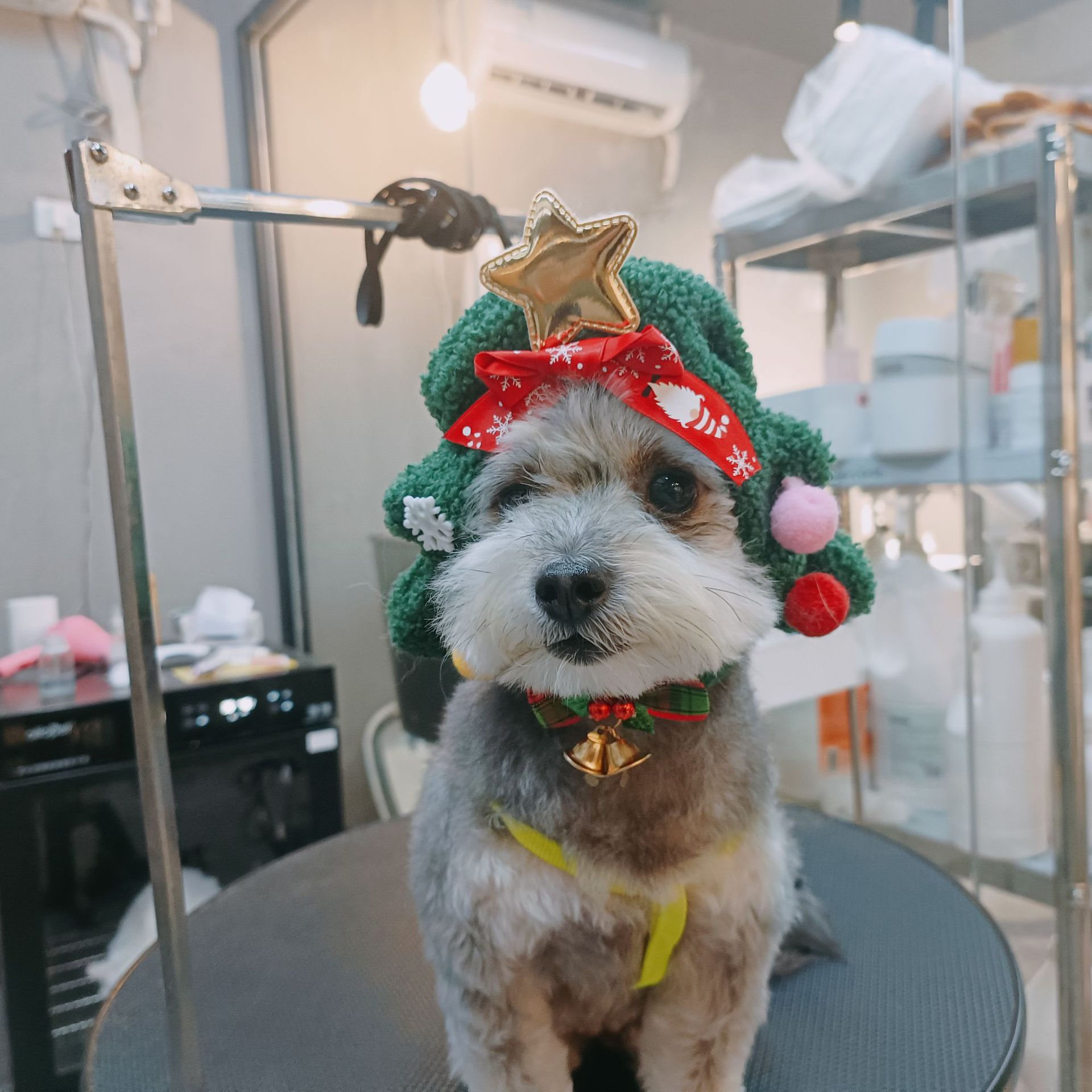 Handmade fleece Christmas Tree Costume Hat for Cat Dog