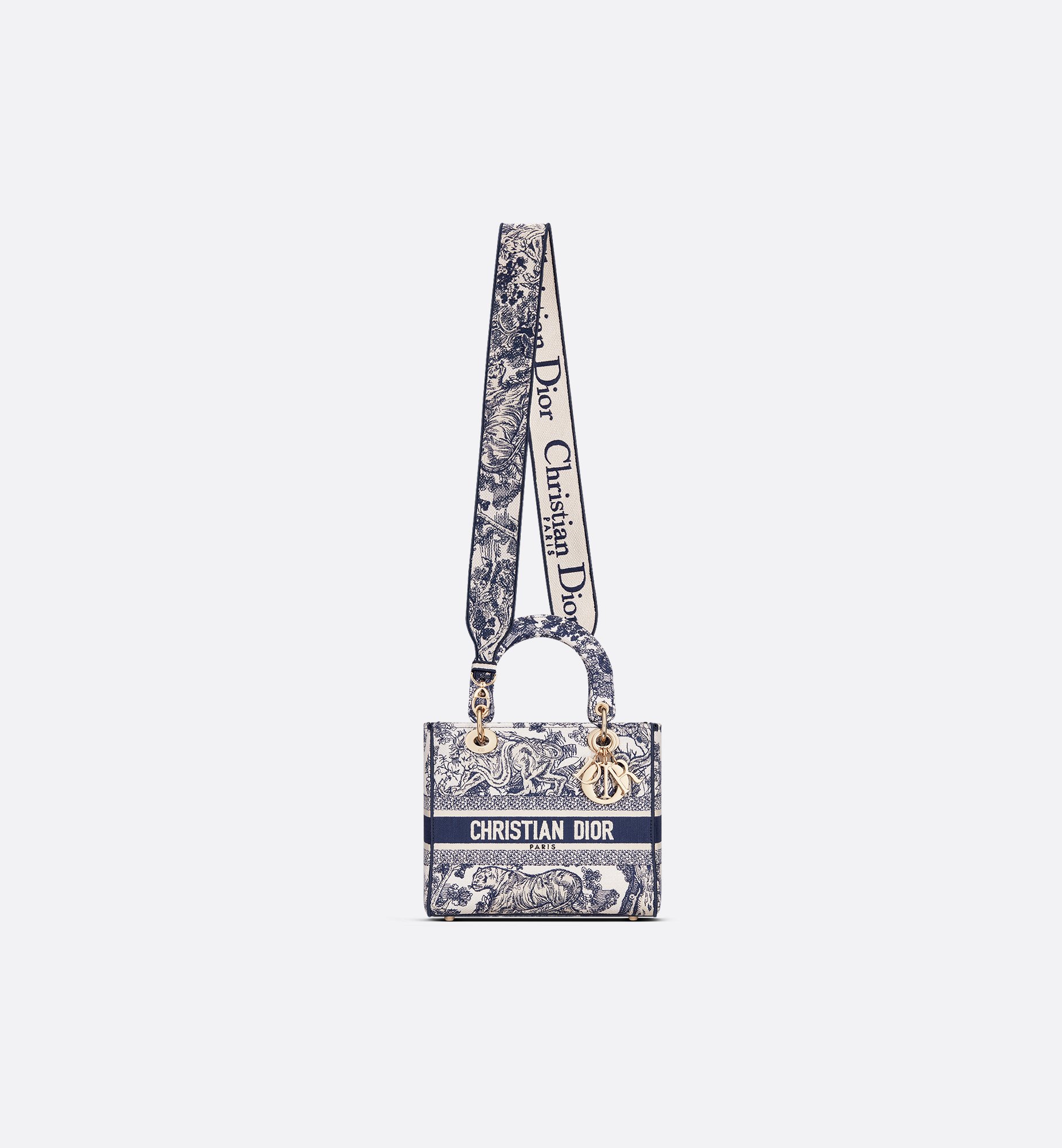 Dior Medium Lady D-Lite Bag M0565OTDT_M808