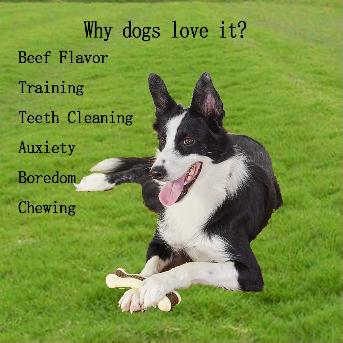 Dog Chew Toys for Aggressive Chewers Large Breed
