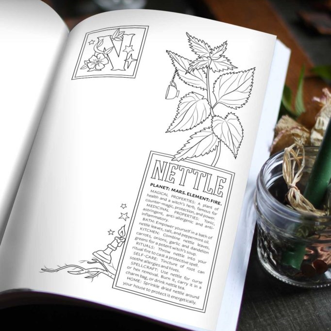 A Coloring Book of Herbal Magic - Green Witch's Herbal