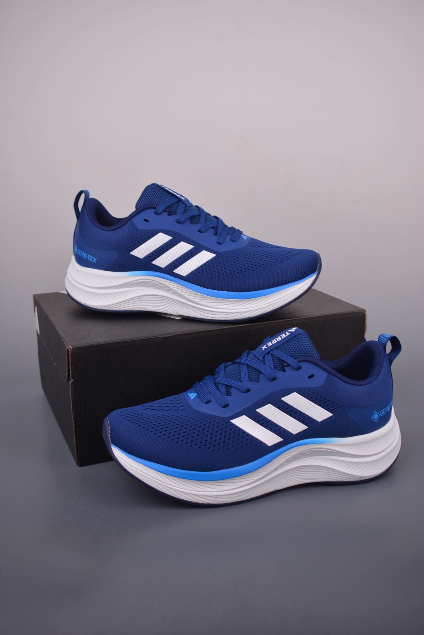 Adidas TERREX GORE-TEX 